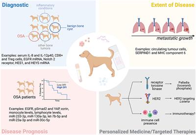 Recent Advances in the Discovery of Biomarkers for Canine Osteosarcoma